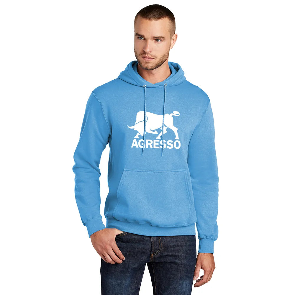 Port & Company Port & Company Core Fleece Pullover Hooded Sweatshirt - Aquatic Blue